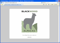 Blackwood Alpacas