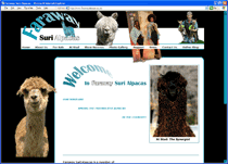 Faraway Alpacas