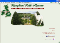 Houghton Hall Alpacas