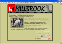 Millbrook Alpacas