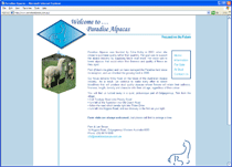 Paradise Alpacas
