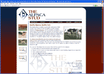 The Alpaca Stud