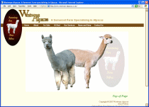 Westways Alpacas