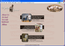 Wyntaissa Alpacas